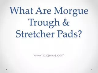 What Are Morgue Trough & Stretcher Pads