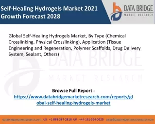 Self-Healing Hydrogels Market pdf