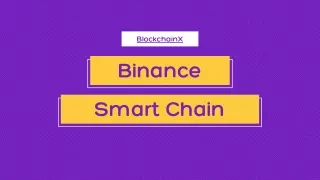 Binance Smart chain and Bep20 token development