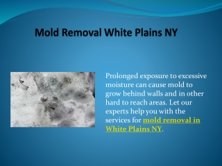 Mold Removal White Plains NY