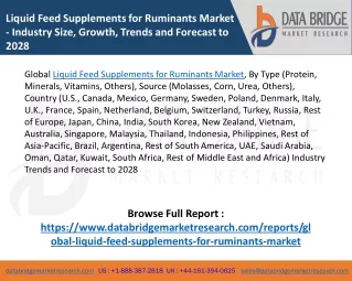 Global Liquid Feed Supplements for Ruminants Market – Industry Trends and Foreca