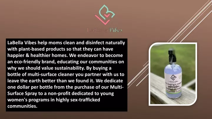 labella vibes help moms clean and disinfect