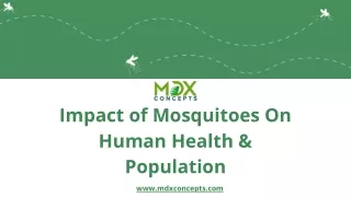 Impact of Mosquitoes On Human Health & Population