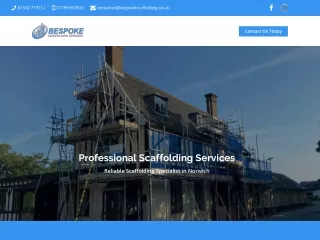 Professional Scaffolding Services
