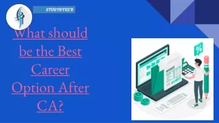 What should be the Best Career Option After CA_