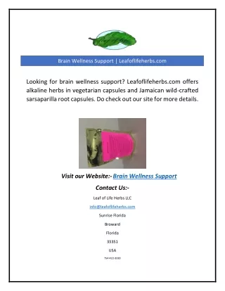 Brain Wellness Support | Leafoflifeherbs.com