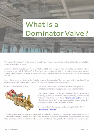 What is a  DominatorValve?