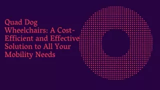 quad dog wheelchairs a cost efficient