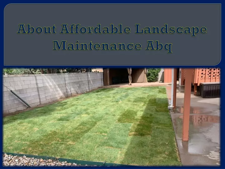 about affordable landscape maintenance abq