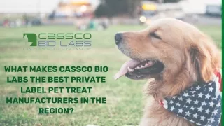 What Makes CassCo The Best Private Label Pet Treat Manufacturers?