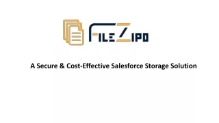 a secure cost effective salesforce storage