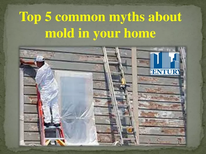 top 5 common myths about mold in your home