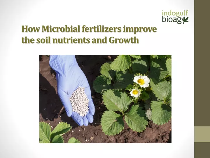 how microbial fertilizers improve the soil nutrients and growth