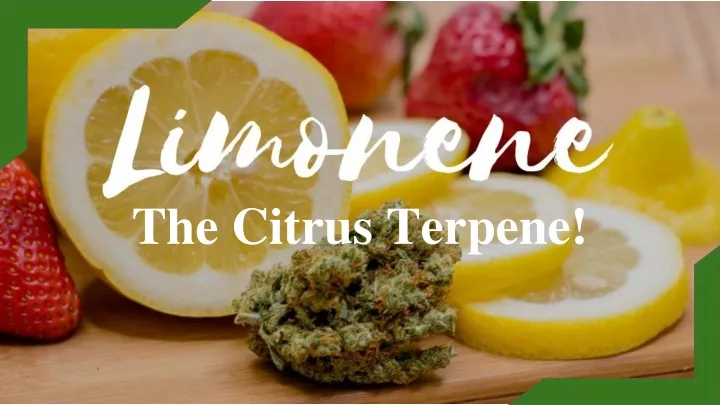 the citrus terpene