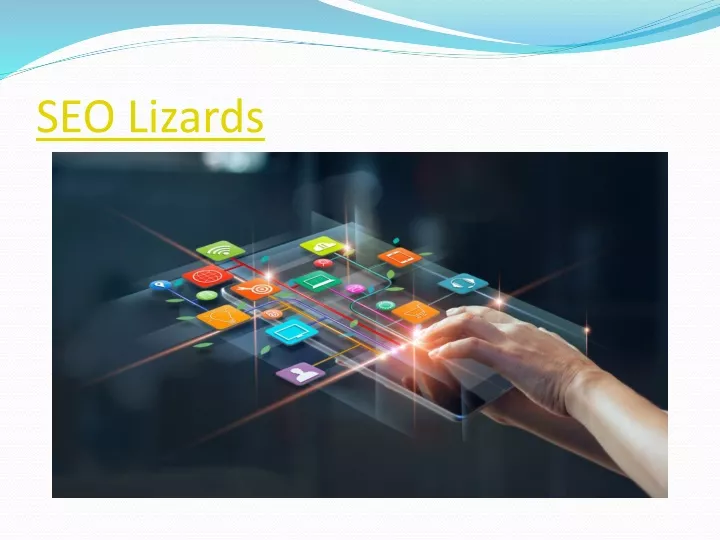 seo lizards