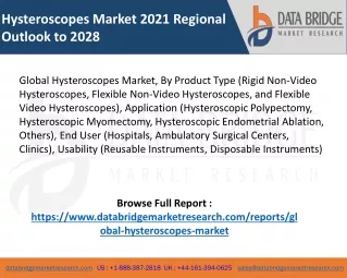 Hysteroscopes Market pdf