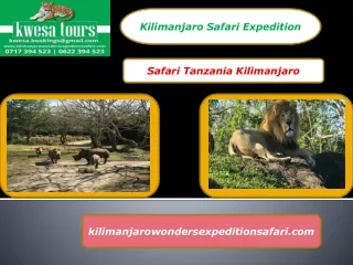 Safari Tanzania Kilimanjaro