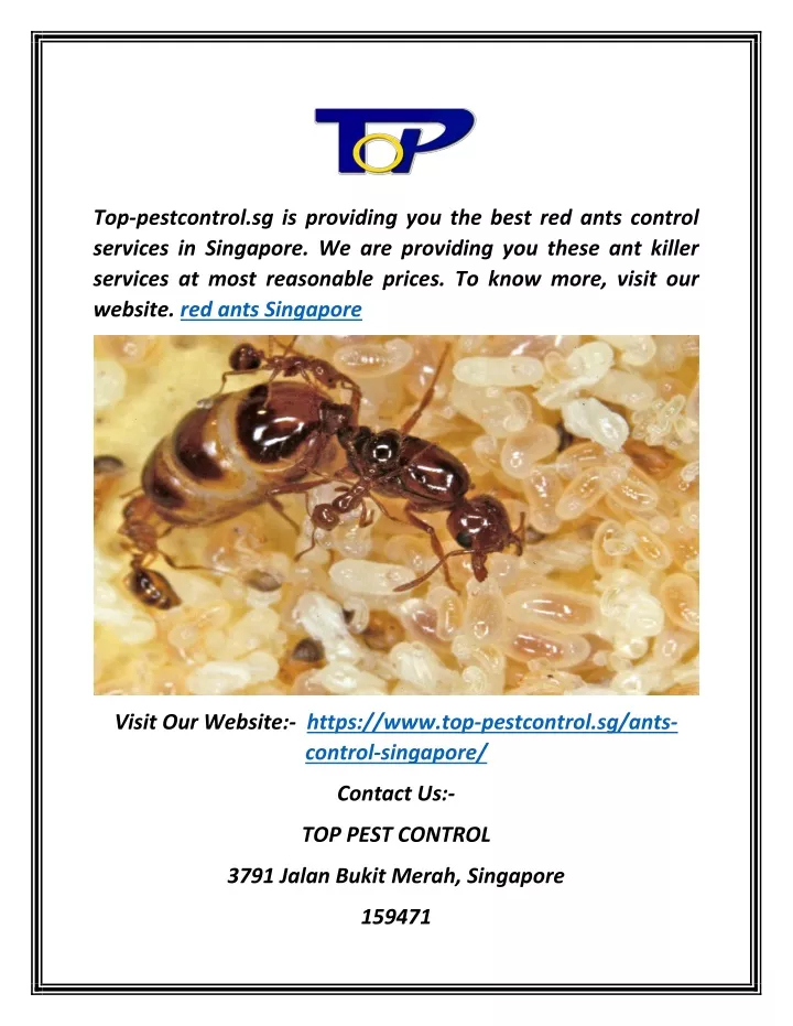 top pestcontrol sg is providing you the best