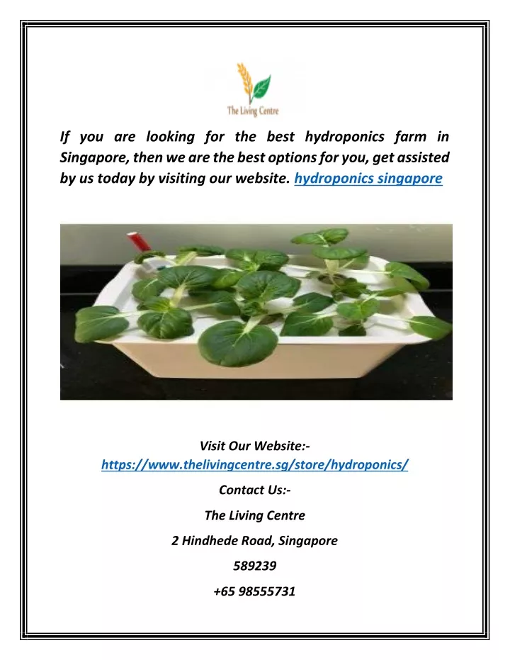 if you are looking for the best hydroponics farm