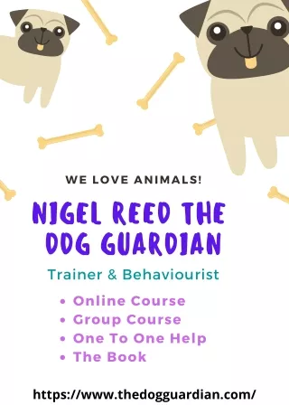 we love animals