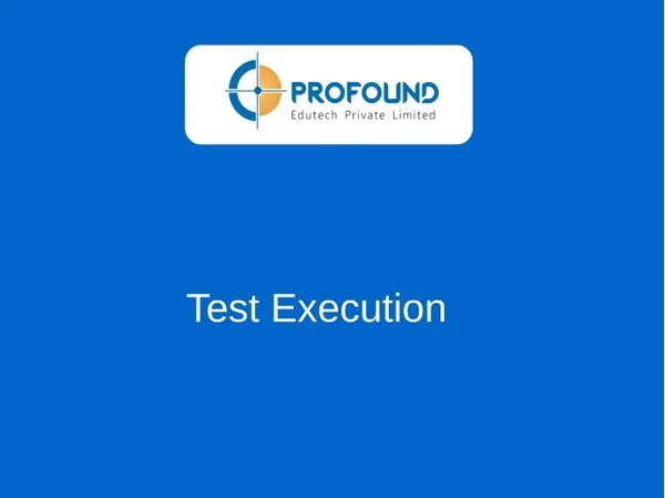 test execution