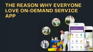 The Reason Why Everyone Love On-Demand Service App