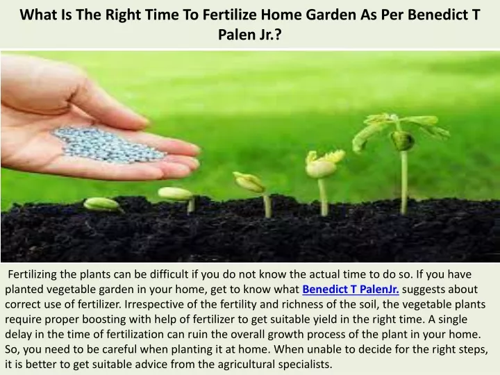 what is the right time to fertilize home garden as per benedict t palen jr