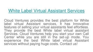White Label Virtual Assistant Services