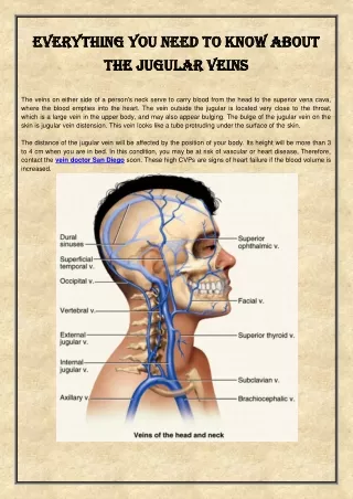 Everything you need to know about the jugular veins
