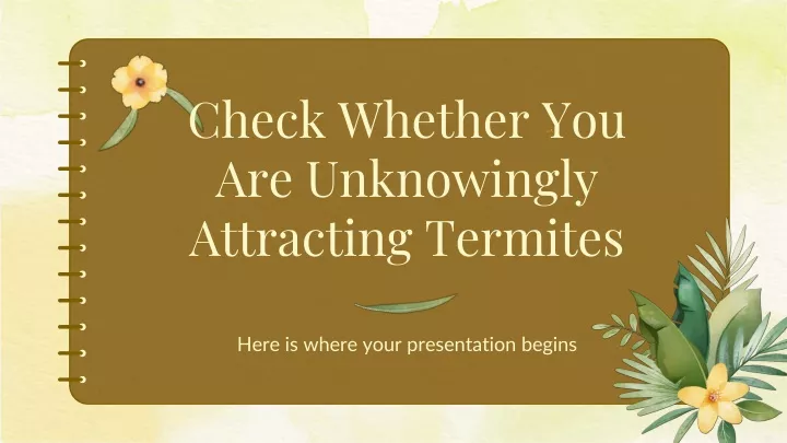 check whether you are unknowingly attracting termites