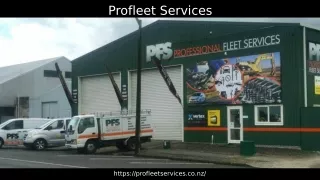 Profleet Services (PPT)