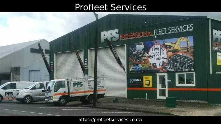 profleet services