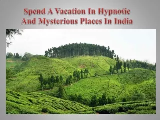 Spend A Vacation In Hypnotic And Mysterious Places In India