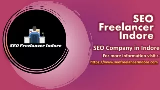 SEO Freelancer Indore