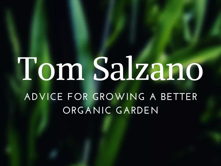 tom salzano advice for growing a better organic