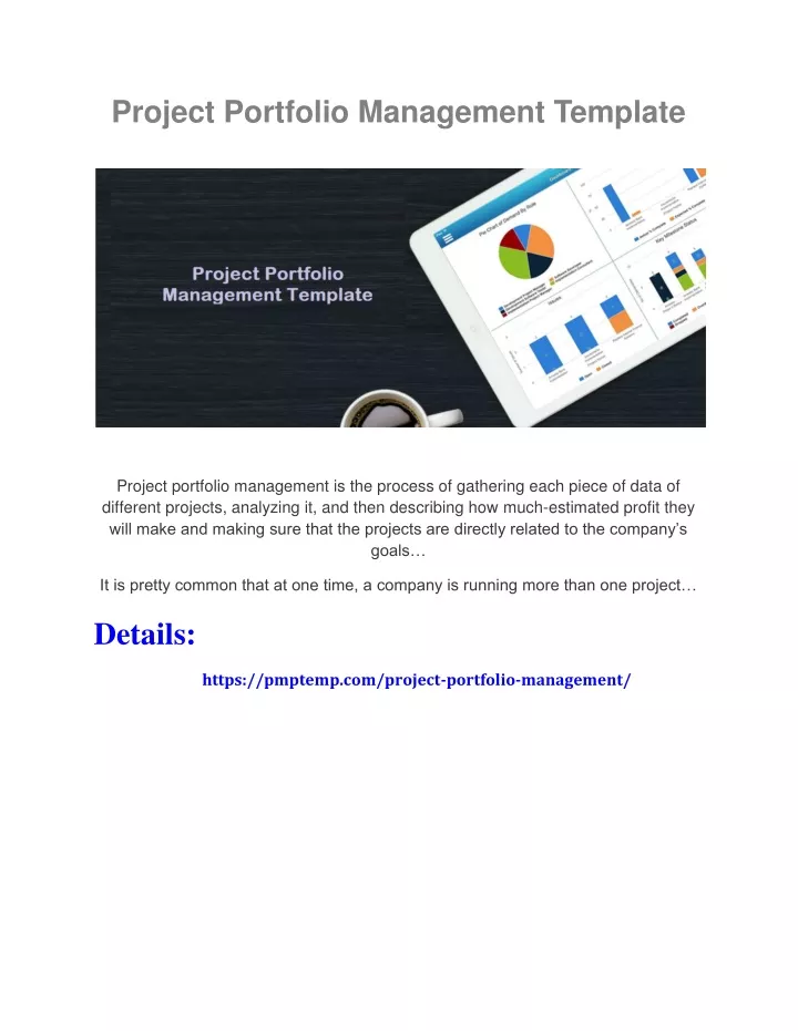 project portfolio management template