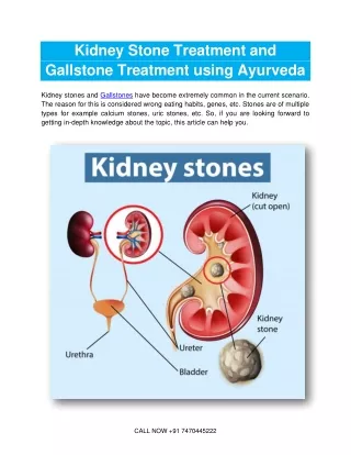 Kidney Stone Treatment And Gallstone Treatment using Ayurveda-converted