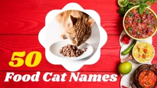 50 Food Cat Names - 50 Cute & Funny Food Names for Cats 2021 ! Unique Pet Names