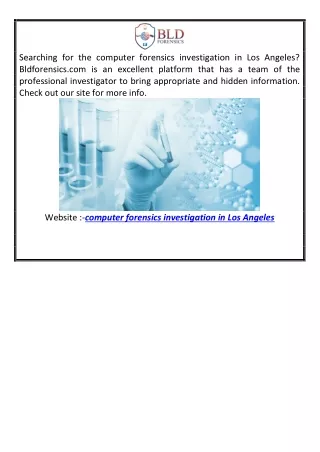 Computer Forensics Investigation in Los Angeles  Bldforensics.com