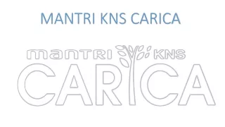 mantri kns carica