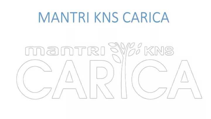 mantri kns carica