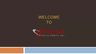 Termite control services - Universal Pest and Termite