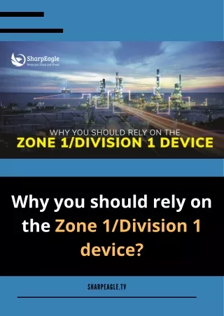 why you should rely on the zone 1 division