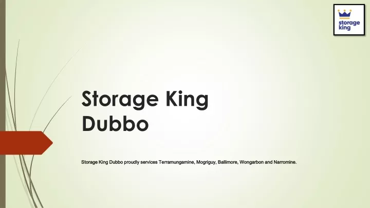 storage king dubbo