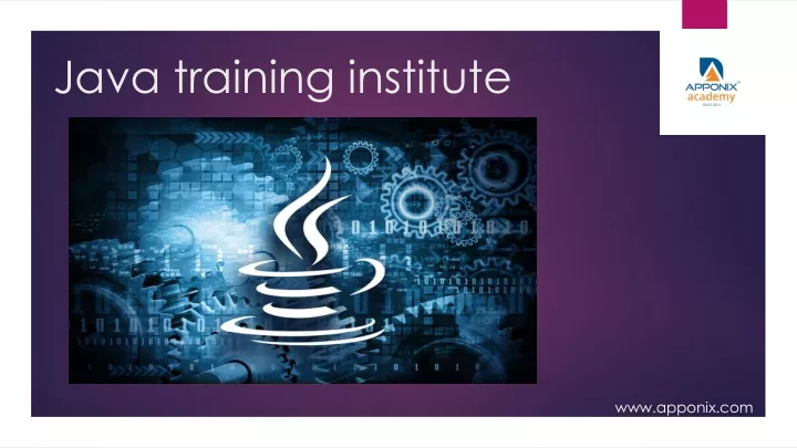 java training institute