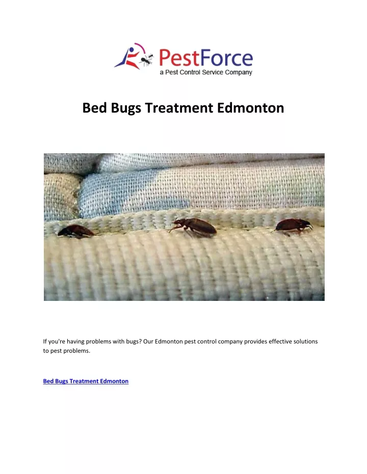 bed bugs treatment edmonton