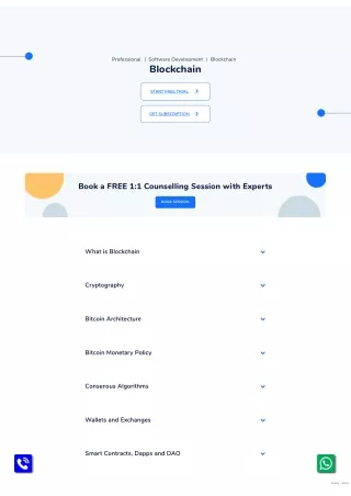 professional software development blockchain