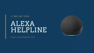 Alexa Not Working 1-8014475163 Instant Alexa Helpline Number