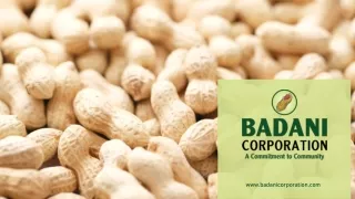 Badani Corporation Manufacturers & Processors