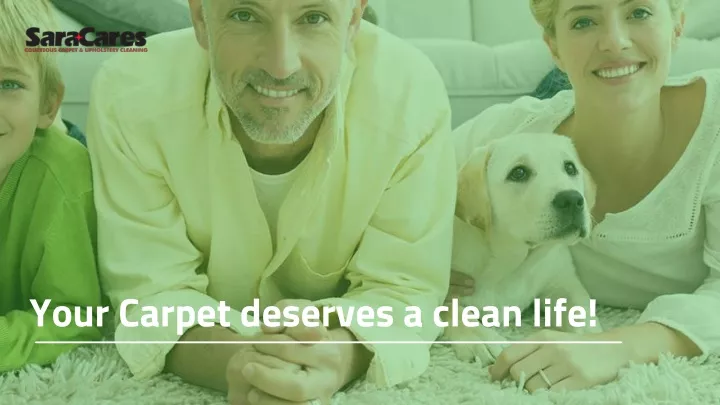your carpet deserves a clean life